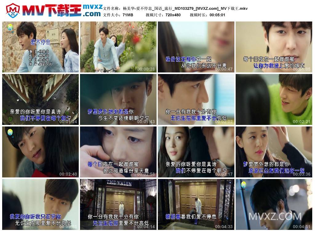 杨美华-爱不停息_国语_流行_MD103279